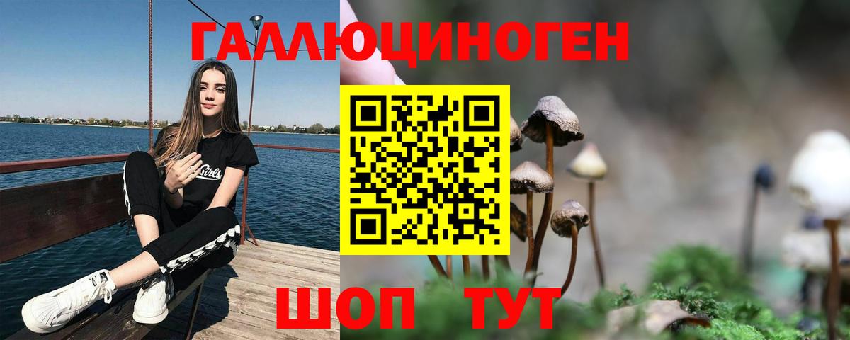 Псилоцибиновые грибы GOLDEN TEACHER  наркотики  Полысаево  Вход с VPN 